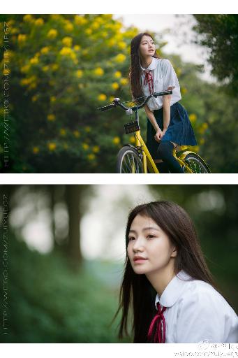 儿子耕种母亲的田地的收获